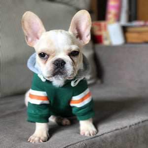 Warm Pet Sweater For Comfortable Everyday Wear